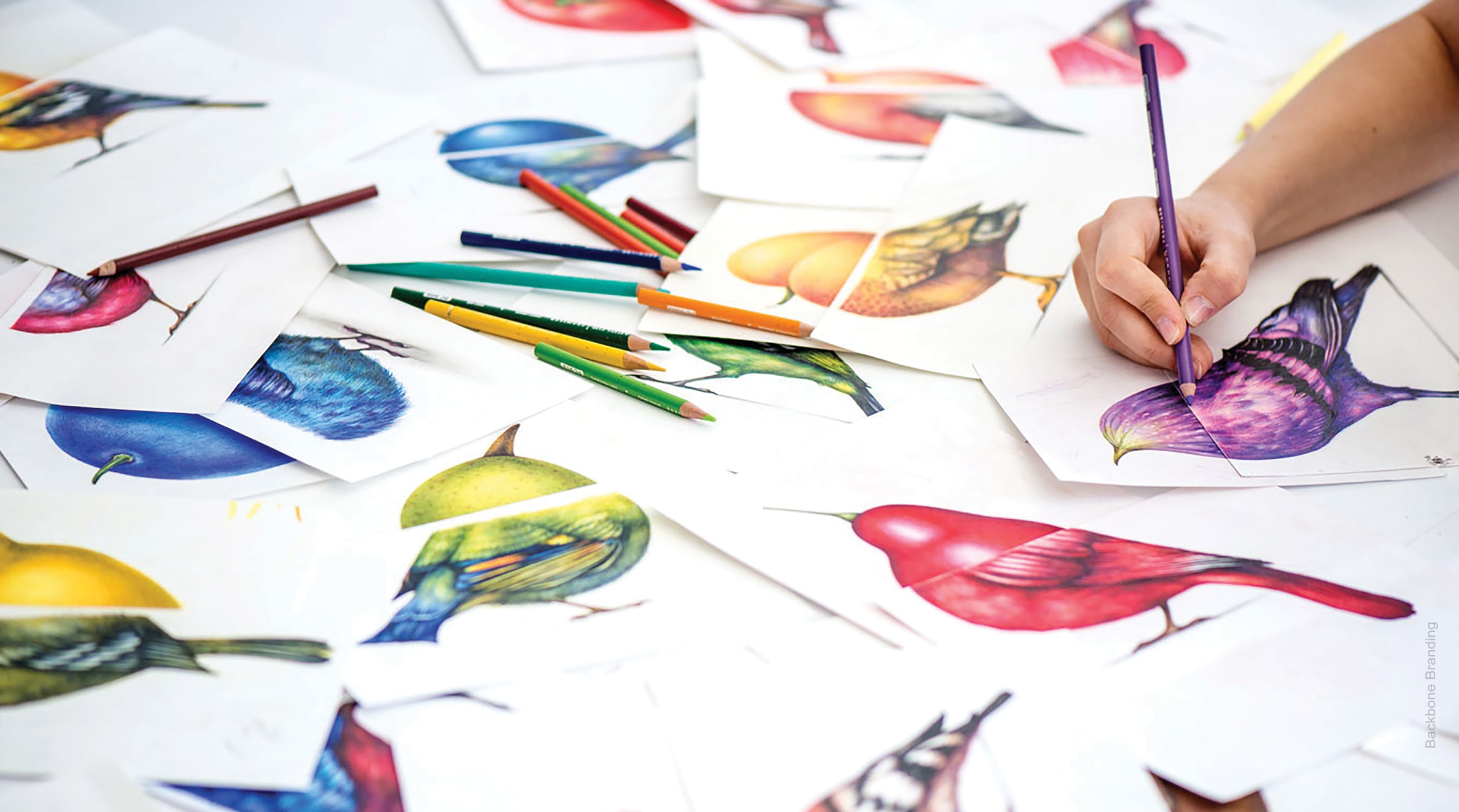 BEAK PICK! Branding - Backbone